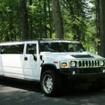 wedding-transportation-trends-1024×585